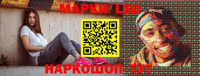гидра Ставрополь