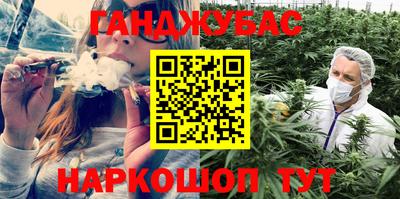 гидра Ставрополь